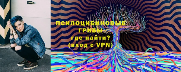 прущие крисы Арсеньев