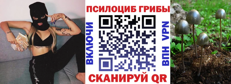 Псилоцибиновые грибы ЛСД  Купить  Луза 